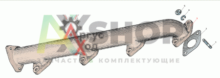 238-1008022-Б Коллектор выпускной правый